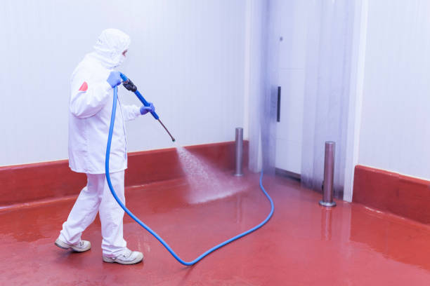 Best Sidewalk and Walkway Cleaning  in Mountain View, HI